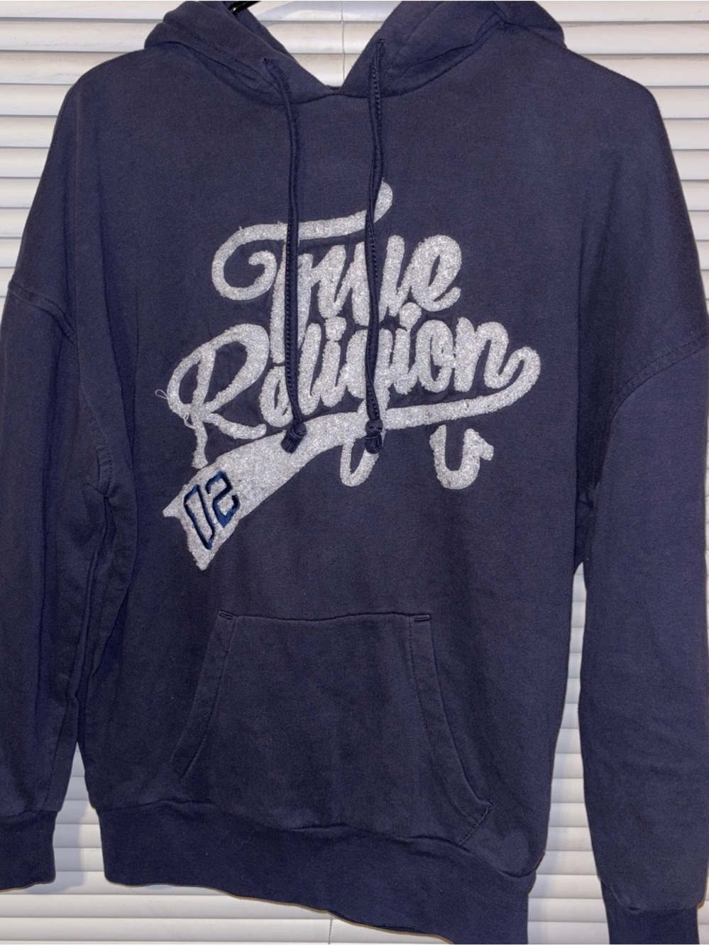 True Religion Men Hoodie